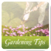 Gardening Tips