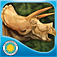 Triceratops Gets Los